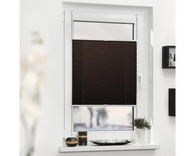 A brown pleated blind is installed on a white window frame, covering the lower part of the window. The blind is partially lowered, showing the pleats. The windowsill below has a few decorative items and a potted plant.