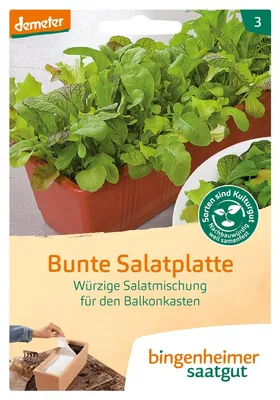 Immagine prodotto di Mix di insalate piccanti per il balcone - Piatto d'insalata colorato