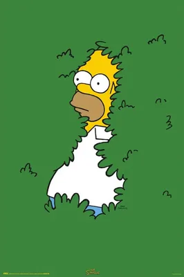 Obrázek produktu pro MB 1 – Simpsonovi – Homer Bush – Plakát 61 × 91,5 cm