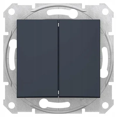 Obrázek produktu pro Schneider Electric SDN0300170 Vypínač dvojitý grafitový