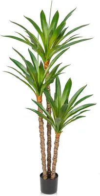 Obrázok produktu pre Umelo vyzerajúca rastlina Yucca, výška 1,7 m, 3 odnímateľné listy, vhodná na dekoráciu interiéru obytných priestorov a kancelárií