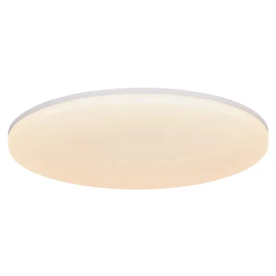 Image de Plafonnier Vic 22 1600lm 3000K Blanc