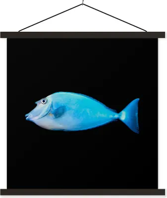 Produktbild von MuchoWow® Textilposter Fische - Meerestiere - Schwarz 120x120 cm mit schwarzem Rahmen - Aufhängungsset