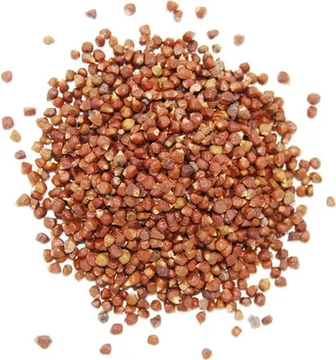 Produktbild von Paradieskörner 80 gr. Dose