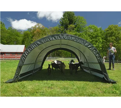 Produktbild von ShelterLogic Weidezelt für Tiere & Lagerung, Grün, 300x260x150 cm, Polyethylen-Plane (255g/m²), DuPont™ Premium beschichteter Stahlrahmen (3.5 cm), UV-beständig, wasserdicht, schneller Auf- & Abbau, kein Fundament nötig, Stahlfüße mit Schutzkappen, Patentierte ShelterLock