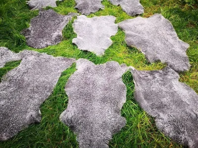 Immagine prodotto di Vera pelle di pecora Gotland a pelo corto grigio L - XXL 100-110 cm x 50-60 cm