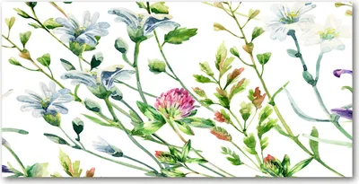 Produktbild von Tulup Glas-Bild -140x70- Wandkunst Dekorative Wand für Küche & Wohnzimmer - Blumen & Pflanzen - Wilde Blumen - Mehrfarbig