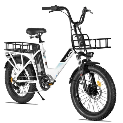 Produktbild von HILAND Lasten E-Bike Damen Herren 20 Zoll Fat Tire, Tiefeinsteiger Step-Thru Rahmen, 250W Pedelec mit 36V 13Ah Akku, Federgabel und komplettes Beleuch