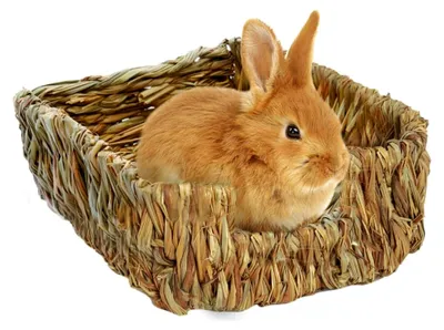 Produktbild von Grasbett für Kaninchen, Grashaus, Strohnaturbett und Grasnest handgewebt für Meerschweinchen, Chinchillas und Kaninchen
