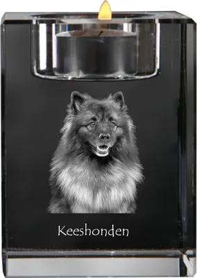Obrázok produktu pre Art-Dog Svietnik na čajovú sviečku – Keeshond
