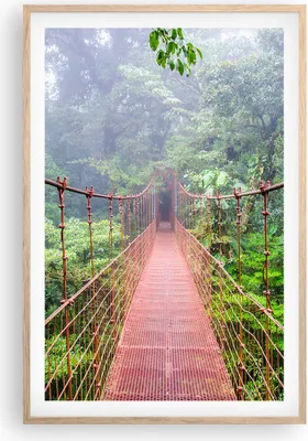 Produktbild von Gerahmtes Poster - Rahmen in heller Eiche - Brücke ausgesetzt Costa Rica - 61x91,5 cm - Wand Bild - Wanddeko - Wandbilder - Kunstposter - Wandposter - Bilderrahmen - Bilder - P2NPA61x91-4923