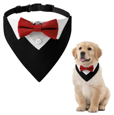 Imagen del producto de Solidchoice - Pañuelo tipo pajarita para perros, estilo esmoquin, color rojo
