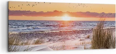 Produktbild von Bild auf Leinwand - Leinwandbild - Einteilig - Sonne Strand Vögel - 120x50cm - Wand Bild - Wanddeko - Wandbilder - Leinwanddruck - Bilder - Wanddekoration - Leinwand bilder - Wandbild - AB120x50-4727