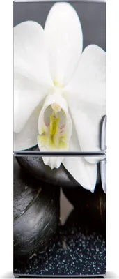 Produktbild von Tulup Kühlschrankdekoration - Magnetmatte - 70 cm x 190 cm - Magnet auf dem Kühlschrank - Orchidee