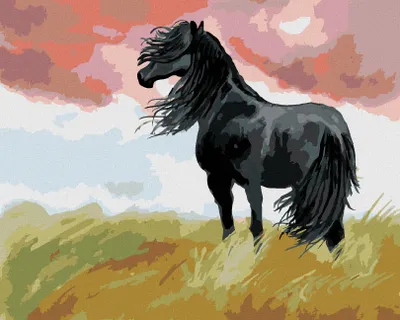 Produktbild von Diamondi - Diamond painting - SCHWARZES PFERD AUF EINER WIESE, 40X50 cm, mit Keilrahmen (bereits gespannt)