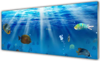 Produktbild von Glasbilder 125x50 Wandbild Druck auf Glas Fische Natur