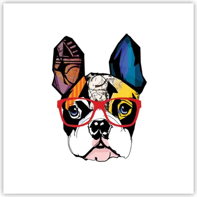 Produktbild von Poster - Poster ohne Rahmen - Hund Brille Bunt Bulldogge - 40x40 cm - Wand Bild - Wanddeko - Wandbilder - Kunstposter - Wandposter - Bilder - Kunstdruck - Wanddekoration - Wandbild - P2XAC40x40-3206