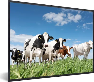 Produktbild von MuchoWow® Gerahmtes Poster Kühe - Landleben - Weide - Natur - Tiere 80x60 cm - Poster mit Schwarzem Bilderrahmen Wandposter Rahmen Foto Bilder - Schwarzem - Mit Gestell