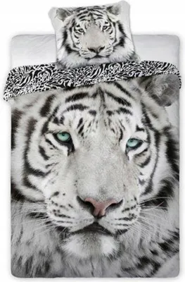 Produktbild von Baumwollbettwäsche Wild Tiger 140x200 cm