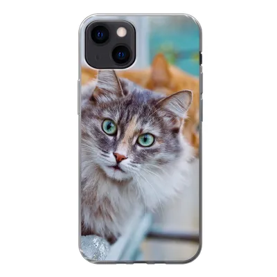 Produktbild von MuchoWow® Handyhülle Schutzhülle Hülle für iPhone 13 Katze - Fenster - Katzen Silikon Softcase Handy Hülle - Karteninhaber