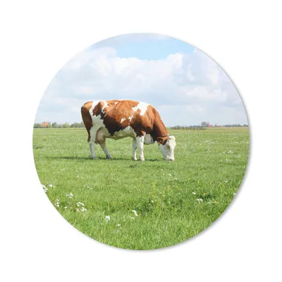 Produktbild von MuchoWow® Mauspad Mousepad Kuh - Braun - Weiß - Tier 30x30 cm - Mousepads - Maus Mat - Pad - Mausunterlage - Tischunterlage - Schreibtischmatten