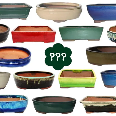 A collage of various bonsai pots in different shapes, sizes, and colors.