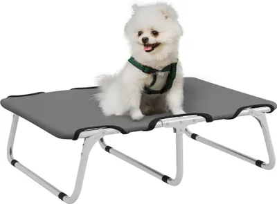 A small white dog wearing a green harness sits on a raised gray pet bed against a white background.