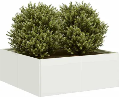 Produktbild von Langlebig Pflanzkübel Weiß 80x80x30 cm Stahl - Beete Octo5781703 1parcel
