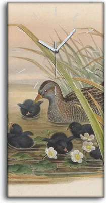 Produktbild von Dekor Leinwand Uhr Wandbilder Geräuschlos 30x60 Vögel Wild Tiere Zeichnung Kunst - weiße Hände