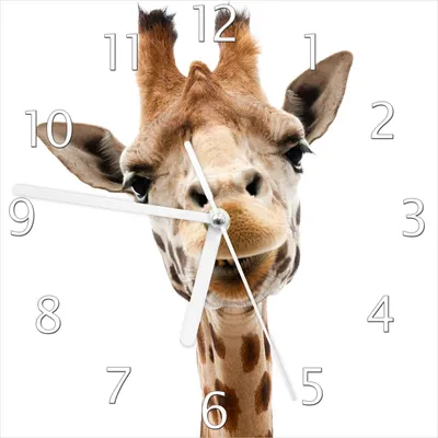 Produktbild von Wallario Design Wanduhr Giraffenkopf aus Echtglas, Größe 20 x 20 cm