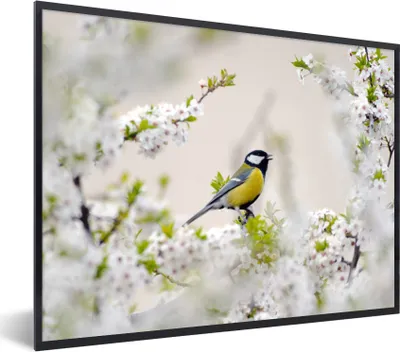 Produktbild von MuchoWow® Gerahmtes Poster Vogel - Kohlmeise - Blumen - Blütenbaum 80x60 cm - Poster mit Schwarzem Bilderrahmen Wandposter Rahmen Foto Bilder - Schwarzem - Mit Gestell