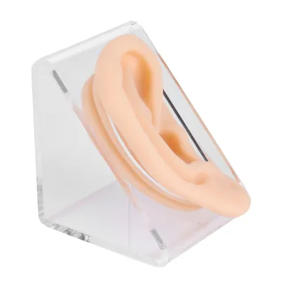 Obrázok produktu pre Model akupunktúry uší, model uší praxe, silikónový model uší, model akupunktúry uší, model uší displeja, model ľudského ucha
