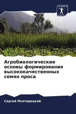 Produktbild von Agrobiologicheskie osnowy formirowaniq wysokokachestwennyh semqn prosa