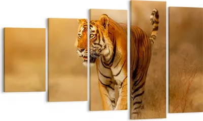 Produktbild von Bild auf Leinwand - Leinwandbild - tiger tier - 100x60cm - Wand Bild - Wanddeko - Wandbilder - Leinwanddruck - Bilder - Kunstdruck - Wanddekoration - Leinwand bilder - Wandkunst - EG100x60-3946