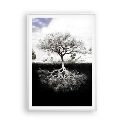 Produktbild von Gerahmtes Poster - Weißer Rahmen - Baum die Wurzeln Reflexion - 70x100 cm - Wand Bild - Wanddeko - Wandbilder - Kunstposter - Wandposter - Bilderrahmen - Bilder - Kunstdruck - P2WPA70x100-5152