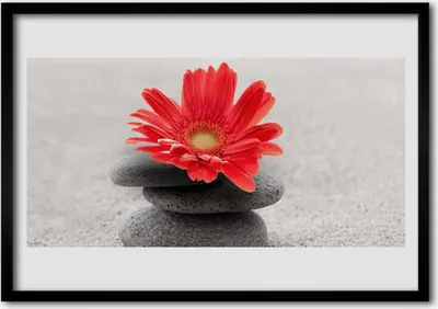 Produktbild von Bild 100x70 MDF-Rahmen Wandkunst Gerbera Blume