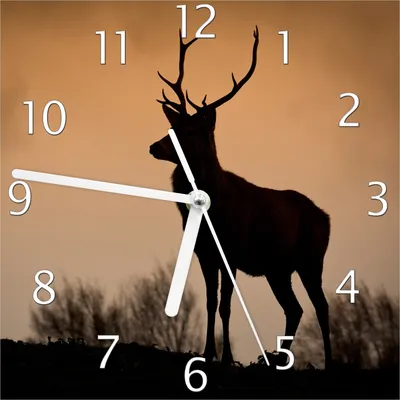 Produktbild von Wallario Design Wanduhr Rothirsch am Abend aus Echtglas, Größe 20 x 20 cm