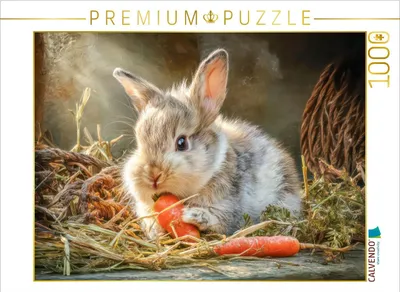Produktbild von CALVENDO Puzzle Kaninchenportraits | 1000 Teile Lege-Größe 64x48cm Foto-Puzzle für glückliche Stunden