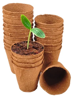 Image de Pots de culture classic floraworld Ø6cm 25 pièces