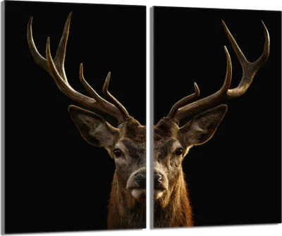 Produktbild von Glasschutzplatte für den Herd 2x30x52 Hirsch