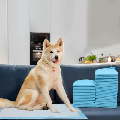 Immagine prodotto di Eikuavons, 120 pezzi di assorbenti per cuccioli, 60x60 cm, tappetini per toilette per cani, assorbenti usa e getta