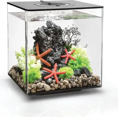 Obrázek produktu pro Akvárium biOrb CUBE 30 LED černá