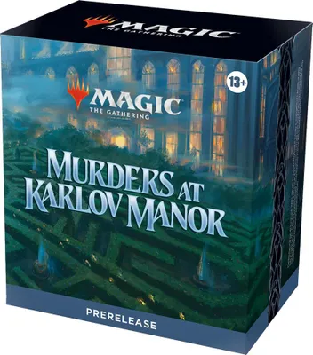 Obrázek produktu pro Wizards of the Coast D30340000, 13 rok/roky
