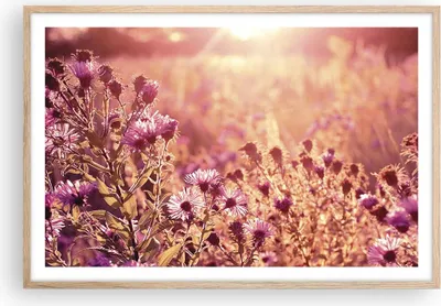 Produktbild von Gerahmtes Poster - Rahmen in heller Eiche - Wiese Blumen Sonne - 91,5x61 cm - Wand Bild - Wanddeko - Wandbilder - Kunstposter - Wandposter - Bilderrahmen - Bilder - Kunstdruck - P2NAA91x61-4819