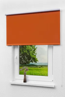 Produktbild von Lysel Outlet - Verdunkelungsrollo Thermo Rotorange, (B x H) 82.50cm x 175cm in orange/rotorange