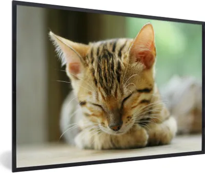 Produktbild von MuchoWow® Gerahmtes Poster Ein schlafendes Kätzchen 90x60 cm - Poster mit Schwarzem Bilderrahmen Wandposter Rahmen Foto Bilder - Fotorahmen - Foto-Plakat