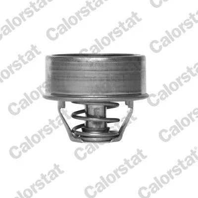 Produktbild von CALORSTAT by Vernet Thermostat