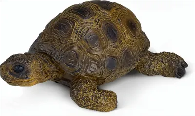 Produktbild von SCHLEICH 14404 Schildkröte