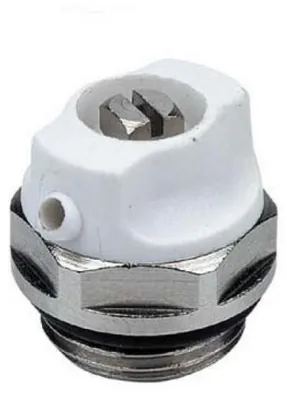A close-up studio shot of a radiator bleed valve.