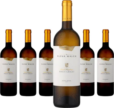 Produktbild von 6 x Elena Walch Pinot Grigio Alto Adige Castel Ringberg